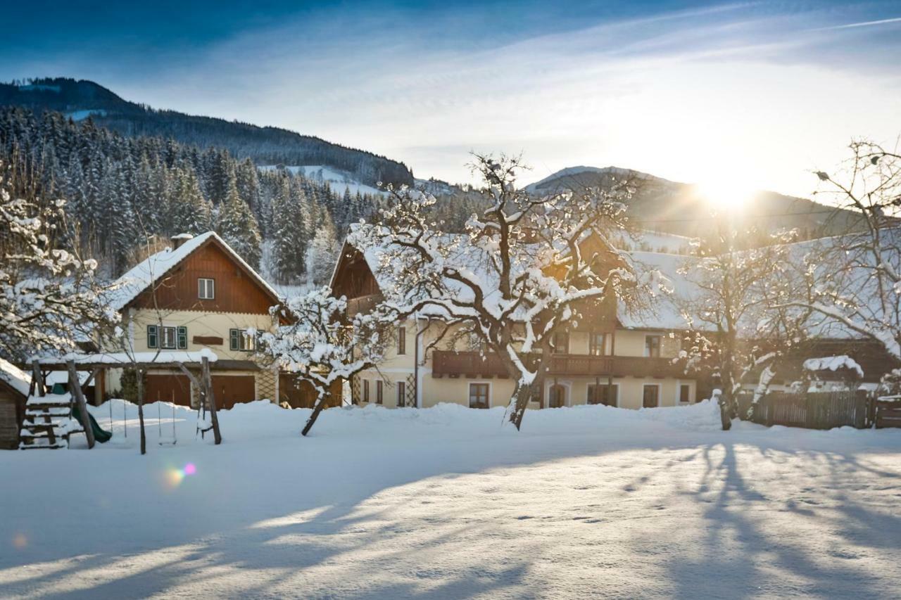 Moserhof Haus im Ennstal Dış mekan fotoğraf