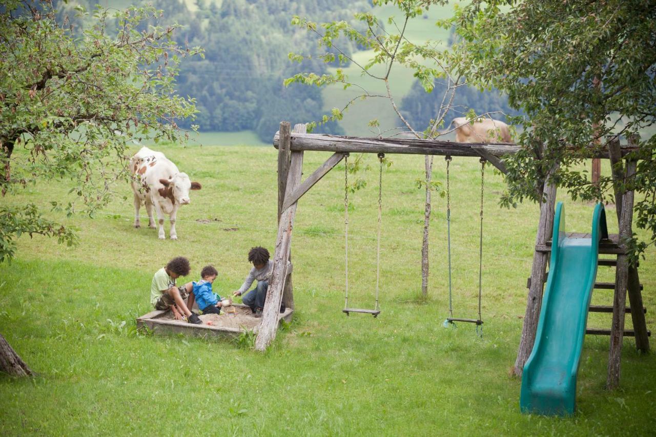 Moserhof Haus im Ennstal Dış mekan fotoğraf