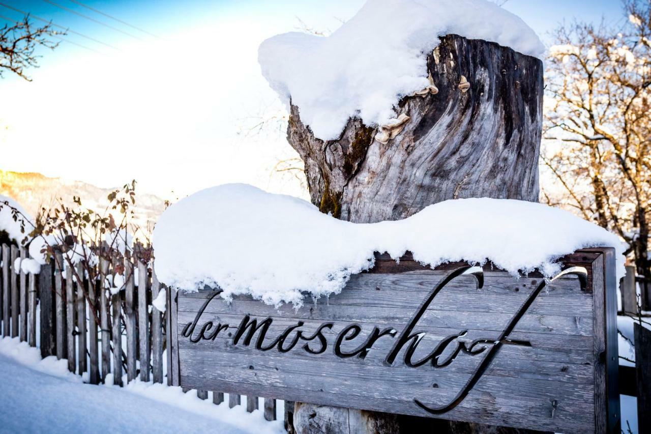 Moserhof Haus im Ennstal Dış mekan fotoğraf